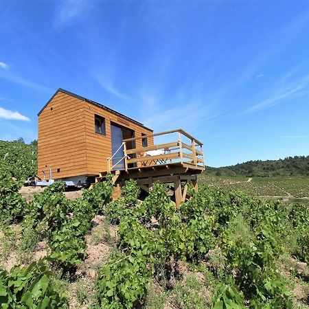Hotel Tiny House Au Coeur Du Vignoble Beaujolais Fleurie Esterno foto