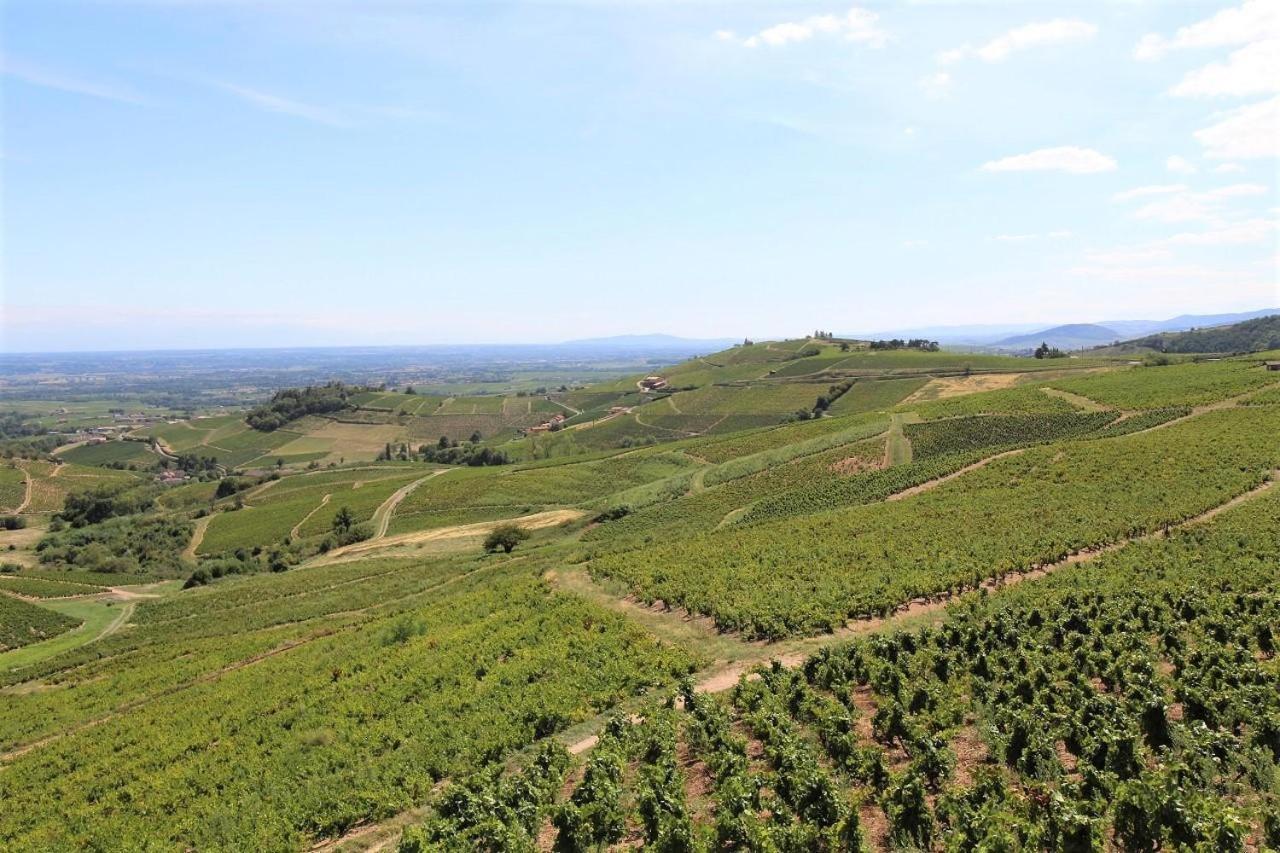 Hotel Tiny House Au Coeur Du Vignoble Beaujolais Fleurie Esterno foto